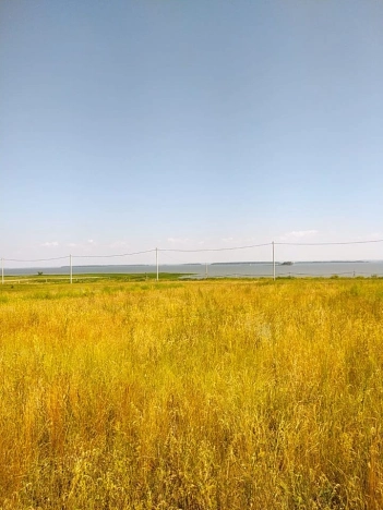 Купить земельный участок в Новосибирске. Вариант № 10568, 4, площадь -  квм, цена 1750000 рублей