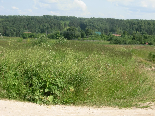 Купить земельный участок в Владимире. Вариант № 1457, 3, площадь -  квм, цена 155000 рублей