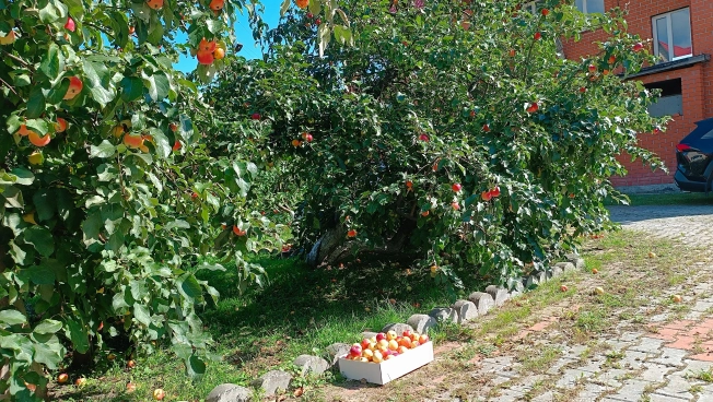 Купить дом в Микрорайоне Восточный, Тобольск в Тобольске. Вариант № 22430, 11, площадь -  квм, цена 15000000 рублей