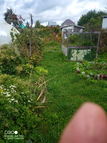 Купить земельный участок в Алтайском крае. Вариант № 3809392, 5, площадь -  квм, цена 1700000 рублей