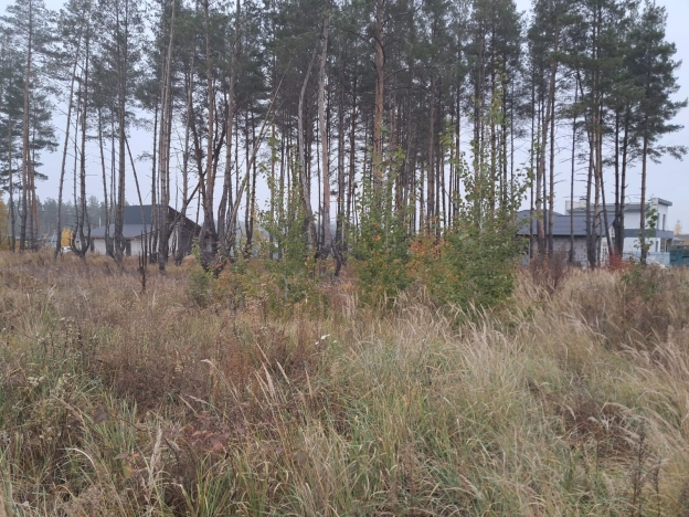 Купить земельный участок в Воронеже. Вариант № 8372258, 3, площадь - квм, цена 2800000 рублей