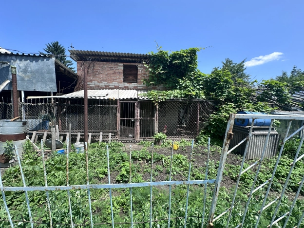 Купить дом на улице Михайловская в Приморском крае. Вариант № 53946, 36, площадь -  квм, цена 8900000 рублей