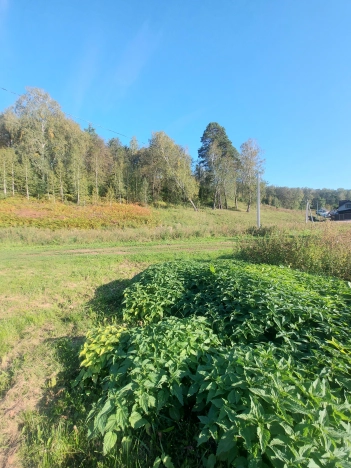 Купить земельный участок на улице Дружбы в Республике Татарстан (татарстан). Вариант № 13967, 24, площадь -  квм, цена 1650000 рублей