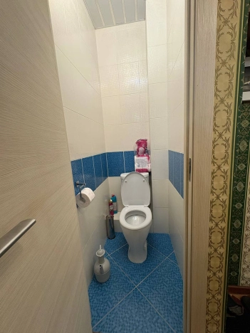 Купить однокомнатную квартиру на улице 17-я линия Васильевского острова в Санкт-Петербурге. Вариант № 9907367, 19, площадь -  квм, цена 6900000 рублей