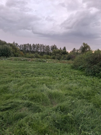 Купить земельный участок в Тамбовской области. Вариант № 5226477, 1, площадь -  квм, цена 1450000 рублей