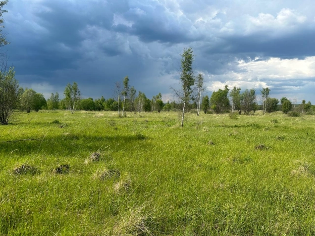 Купить земельный участок в Тульской области. Вариант № 8312, 4, площадь -  квм, цена 2100000 рублей