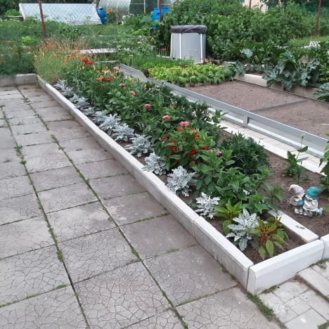 Купить дачу в Республике Карелия. Вариант № 1806412, 23, площадь -  квм, цена 5149000 рублей