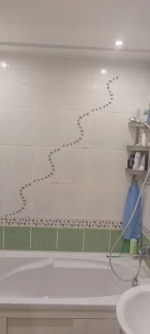 Купить многокомнатную квартиру в районе Алексеевский в Москве. Вариант № 4022119, 8, площадь -  квм, цена 26000000 рублей