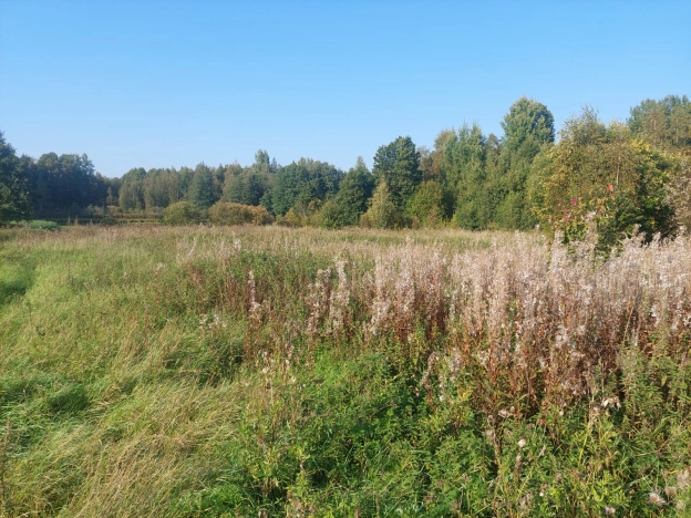 Купить земельный участок в Республике Карелия. Вариант № 2179416, 0, площадь -  квм, цена 5000000 рублей