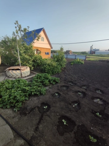 Купить дом на улице Садовая в Алтайском крае. Вариант № 36084, 21, площадь -  квм, цена 2550000 рублей