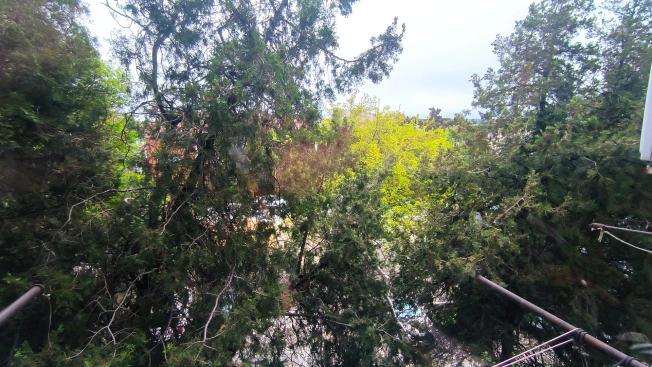 Купить комнату в Геленджике. Вариант № 3903270, 10, площадь -  квм, цена 3000000 рублей