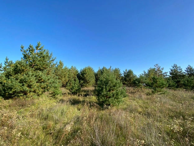 Купить земельный участок в Рязани. Вариант № 5134, 1, площадь -  квм, цена 1500000 рублей