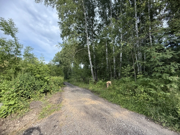 Купить дачу в районе Калининский в Новосибирске. Вариант № 60144, 11, площадь -  квм, цена 2550000 рублей