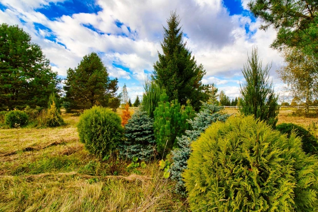 Купить дом на улице Комсомольская в Ивановской области. Вариант № 5922545, 5, площадь -  квм, цена 16800000 рублей