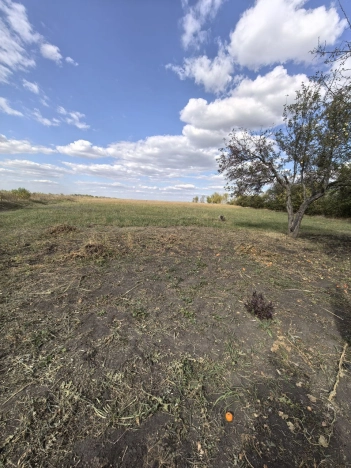 Купить дом в Старом Осколе. Вариант № 4881698, 28, площадь -  квм, цена 1600000 рублей