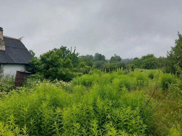 Купить дом в Брянской области. Вариант № 56492, 12, площадь -  квм, цена 1000000 рублей