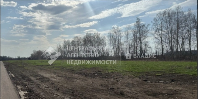 Купить земельный участок в Рязани. Вариант № 1198954, 1, площадь -  квм, цена 1200000 рублей