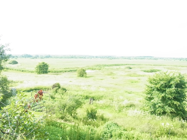 Купить земельный участок на улице Визитная в Владимире. Вариант № 47464, 8, площадь -  квм, цена 1360000 рублей