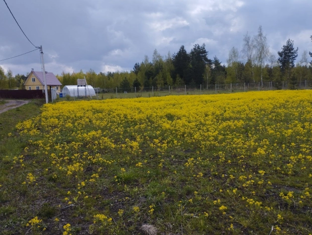 Купить земельный участок в Москве. Вариант № 10012445, 6, площадь -  квм, цена 750000 рублей