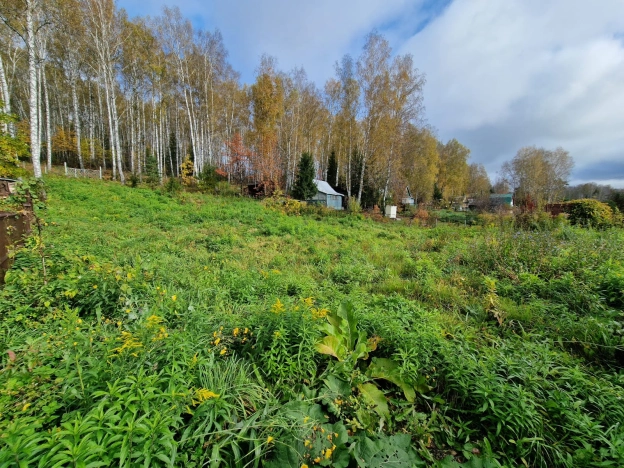 Купить земельный участок в Искитиме. Вариант № 9915682, 5, площадь -  квм, цена 2200000 рублей