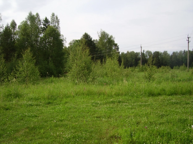 Купить земельный участок в Иванове. Вариант № 56480, 10, площадь -  квм, цена 1800000 рублей