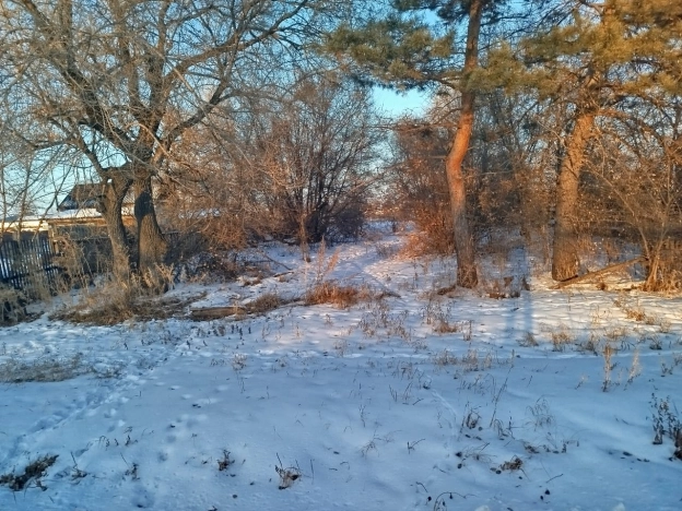 Купить земельный участок в Благовещенске. Вариант № 9548373, 1, площадь -  квм, цена 750000 рублей