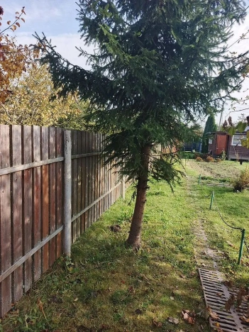 Купить дачу в Воскресенске. Вариант № 7713852, 36, площадь -  квм, цена 2050000 рублей