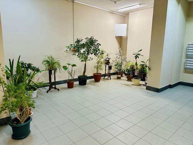 Купить однокомнатную квартиру в Нижегородской области. Вариант № 6876607, 16, площадь - квм, цена 12800000 рублей