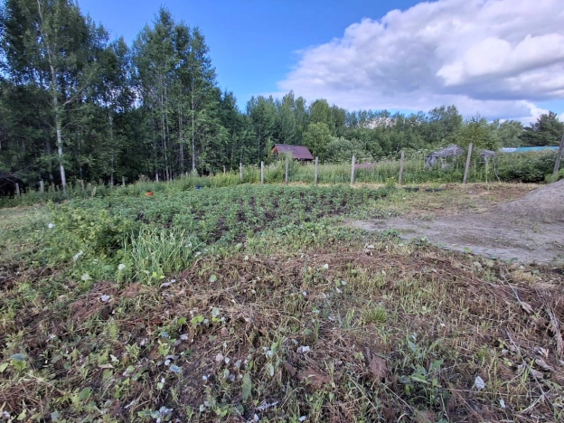 Купить земельный участок в Тобольске. Вариант № 60179, 2, площадь -  квм, цена 300000 рублей