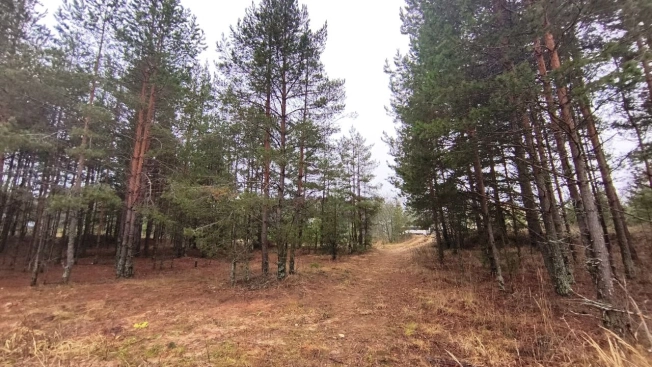 Купить земельный участок в Владимире. Вариант № 10397404, 5, площадь -  квм, цена 3850000 рублей