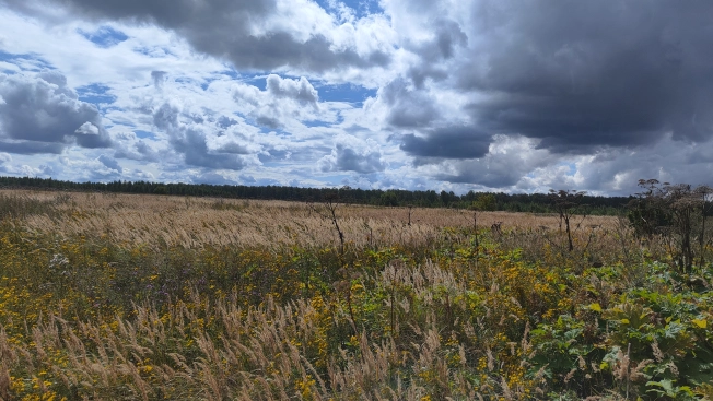 Купить земельный участок в Коломне. Вариант № 2455127, 2, площадь -  квм, цена 1299000 рублей