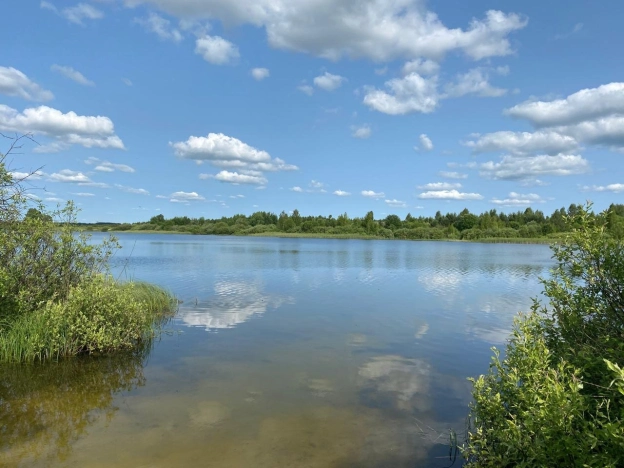 Купить дом в Богородске. Вариант № 8325543, 28, площадь -  квм, цена 4100000 рублей