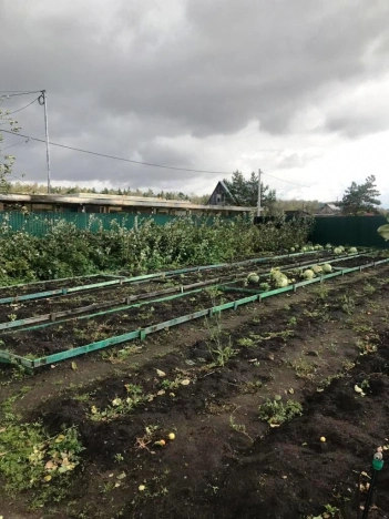 Купить земельный участок в Омске. Вариант № 9819, 10, площадь -  квм, цена 750000 рублей