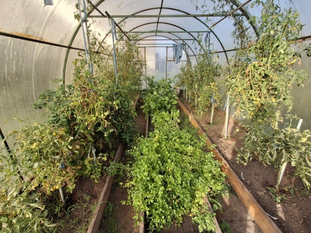 Купить дачу в Тюменской области. Вариант № 5464933, 9, площадь -  квм, цена 650000 рублей