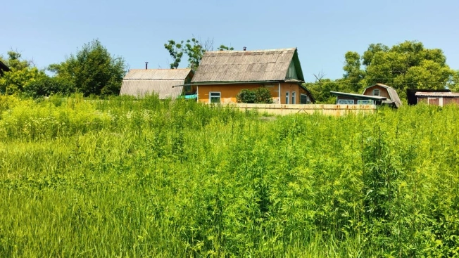 Купить дом на улице Михайловская в Приморском крае. Вариант № 776943, 6, площадь -  квм, цена 5800000 рублей