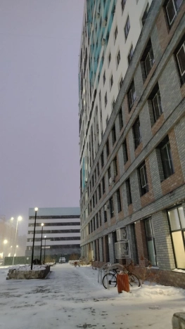 Снять квартиру в Тобольске. Вариант № 9167502, 27, площадь -  квм, цена 50000 рублей