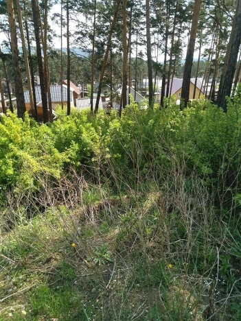 Купить земельный участок в Улан-Удэ. Вариант № 32389, 12, площадь -  квм, цена 2100000 рублей