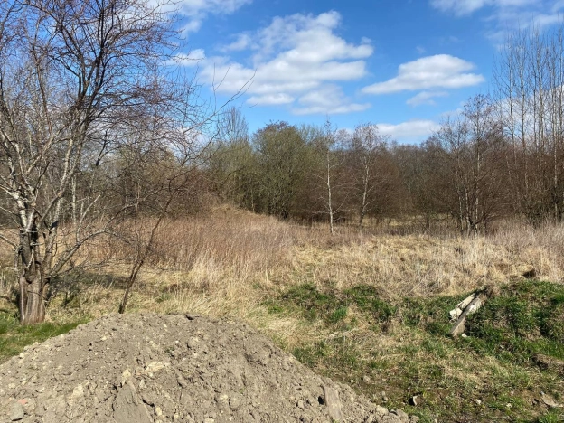 Купить земельный участок в Калининграде. Вариант № 32583, 19, площадь - квм, цена 2000000 рублей