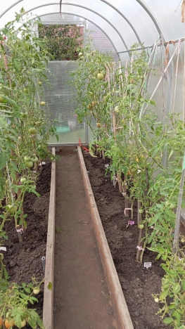 Купить дом в Новосибирске. Вариант № 2538910, 9, площадь -  квм, цена 950000 рублей