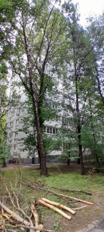 Купить квартиру в Москве. Вариант № 281201, 18, площадь -  квм, цена 19490000.0000 рублей