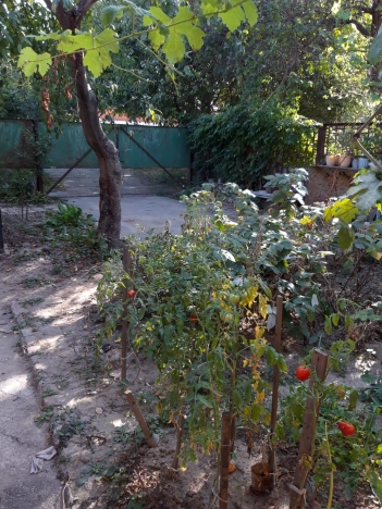 Купить дом на улице Болотникова в Краснодаре. Вариант № 20236, 4, площадь -  квм, цена 14000000 рублей