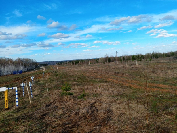 Купить земельный участок в Нижнем Новгороде. Вариант № 7736985, 12, площадь -  квм, цена 750000 рублей