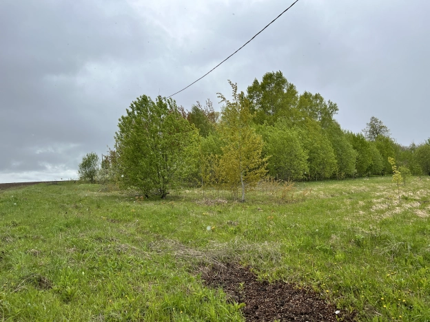 Купить земельный участок в Владимире. Вариант № 1025, 5, площадь -  квм, цена 333000 рублей
