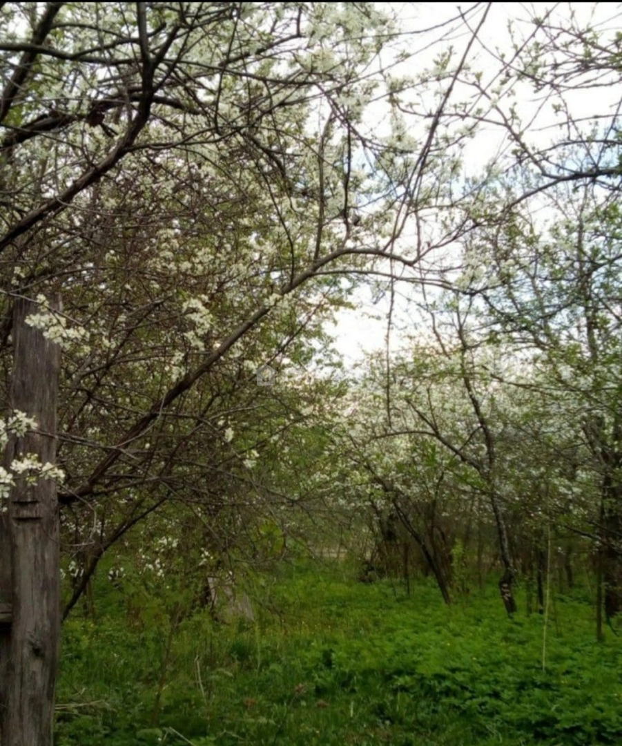 Photo https://36000382-a1c2-4a8a-a109-3fc3bfc73cf7.selcdn.net/App/Entity/ObjectRealty/ObjectRealty/SB/b80e913f-1fd1-40ca-a6ee-eb2393f125fe/gvSDjheZOlZQGJ1ZsyQhLkLGQnM7othisU1vIZTk.jpg.compressed.webp
