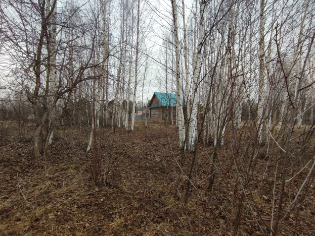 Купить земельный участок в Нижегородской области. Вариант № 31873, 16, площадь -  квм, цена 1150000 рублей
