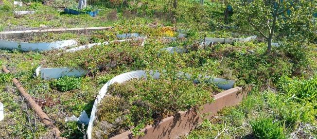 Купить дачу в Московской области. Вариант № 40291, 4, площадь -  квм, цена 1000000 рублей