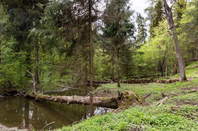 Купить дом в Тверской области. Вариант № 10389750, 21, площадь -  квм, цена 335000000 рублей