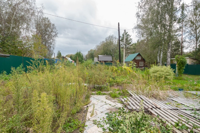 Купить земельный участок в Новосибирске. Вариант № 49891, 8, площадь -  квм, цена 530000 рублей