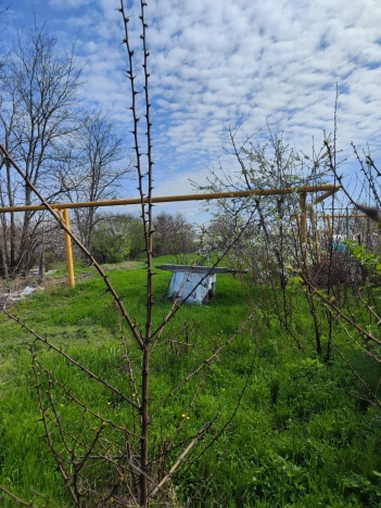 Купить дом в Таганроге. Вариант № 36703, 5, площадь -  квм, цена 3000000 рублей