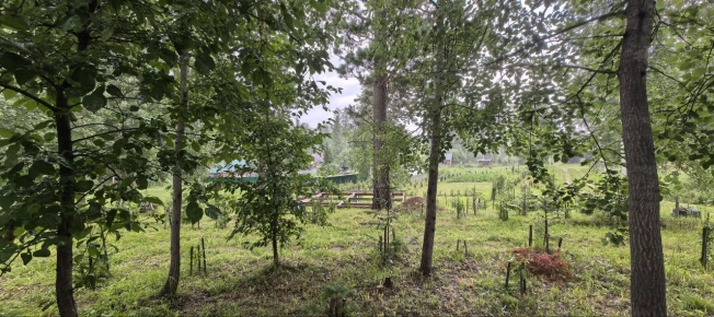 Купить земельный участок в Искитиме. Вариант № 60132, 9, площадь -  квм, цена 3547000 рублей